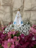 Nicho Floral de Aparecida